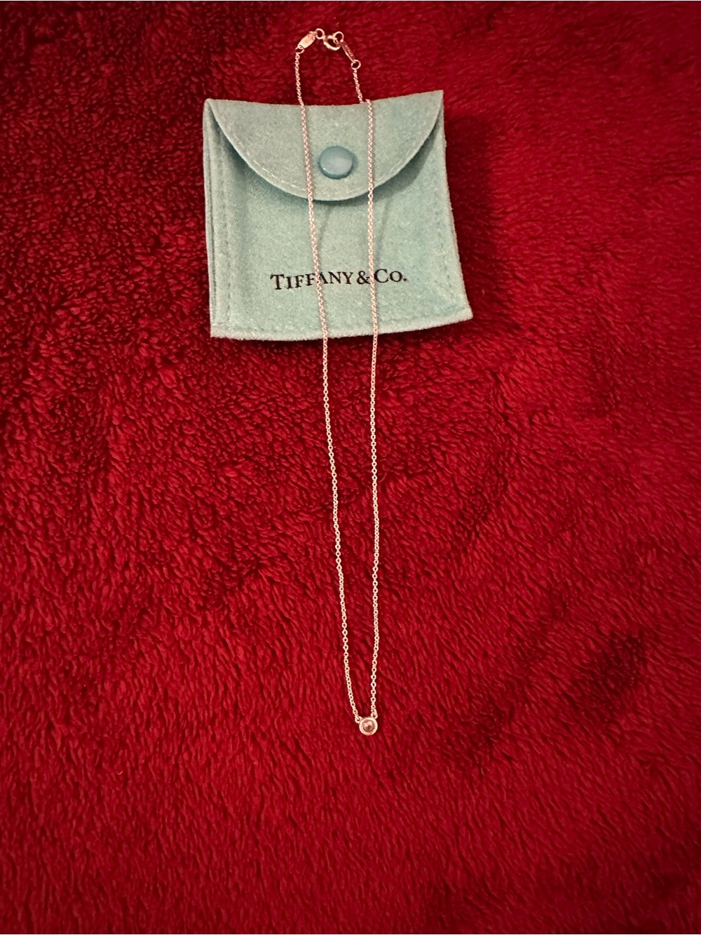 Tiffany & Co. Silver Elsa Peretti Color by the Yard Aquamarine Pendant Silver